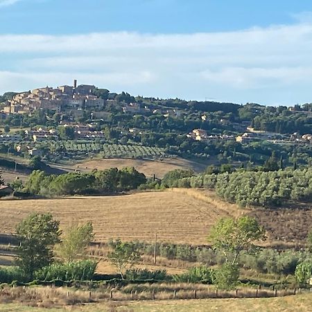Podere Campo alle Serpi Bibbona Esterno foto