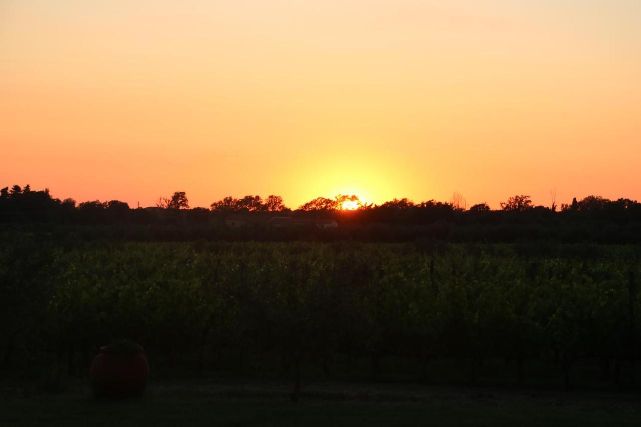 Podere Campo alle Serpi Bibbona Esterno foto