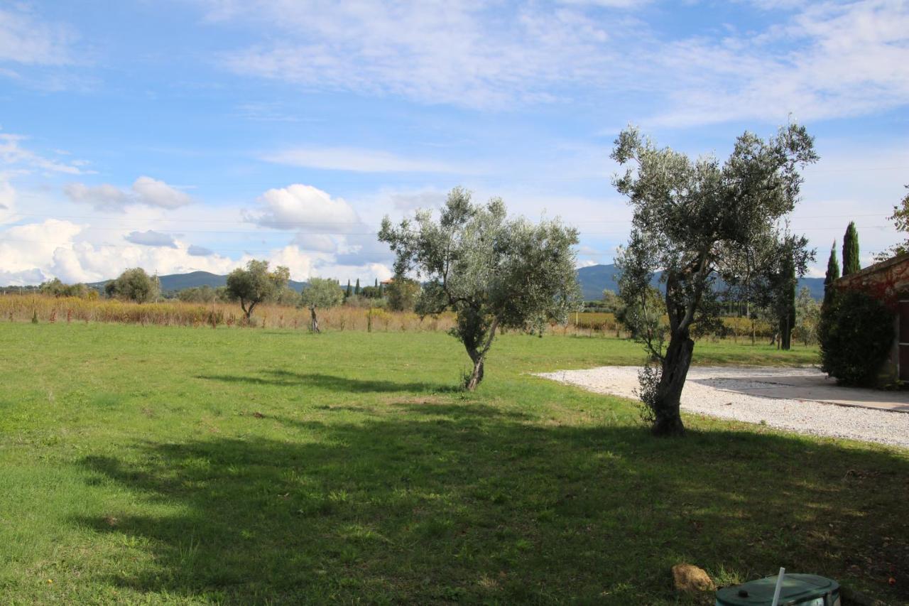 Podere Campo alle Serpi Bibbona Esterno foto