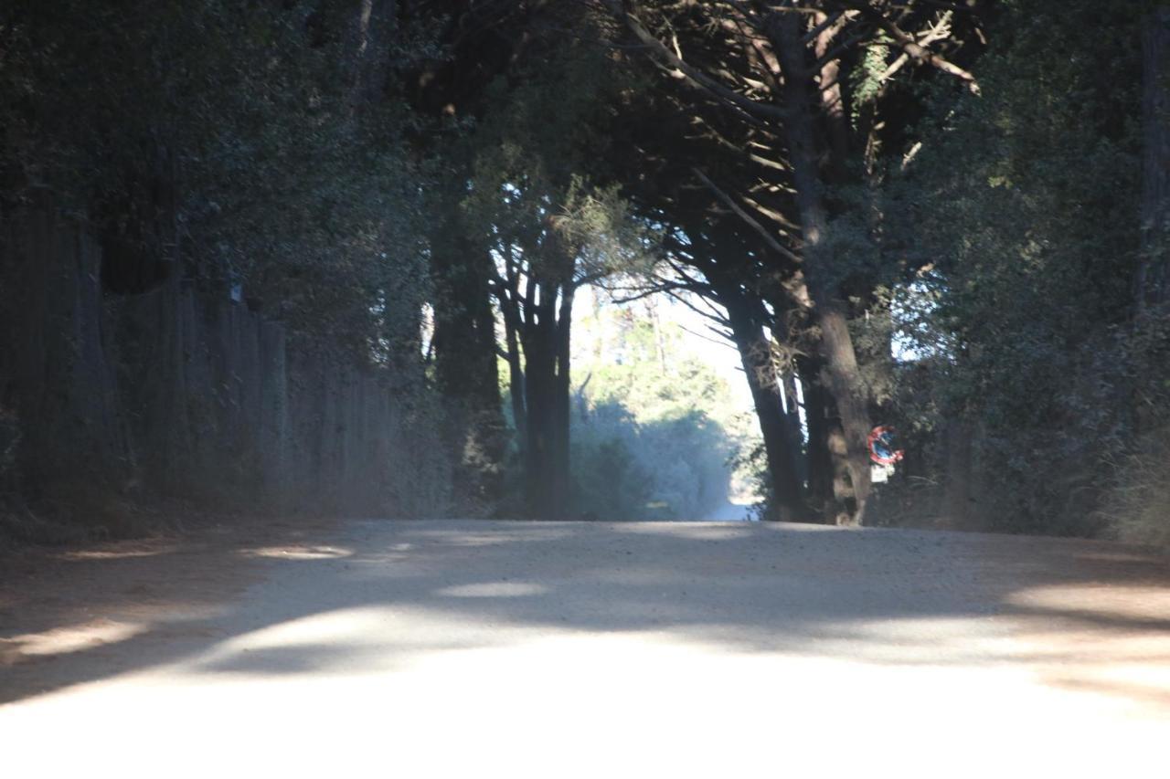 Podere Campo alle Serpi Bibbona Esterno foto