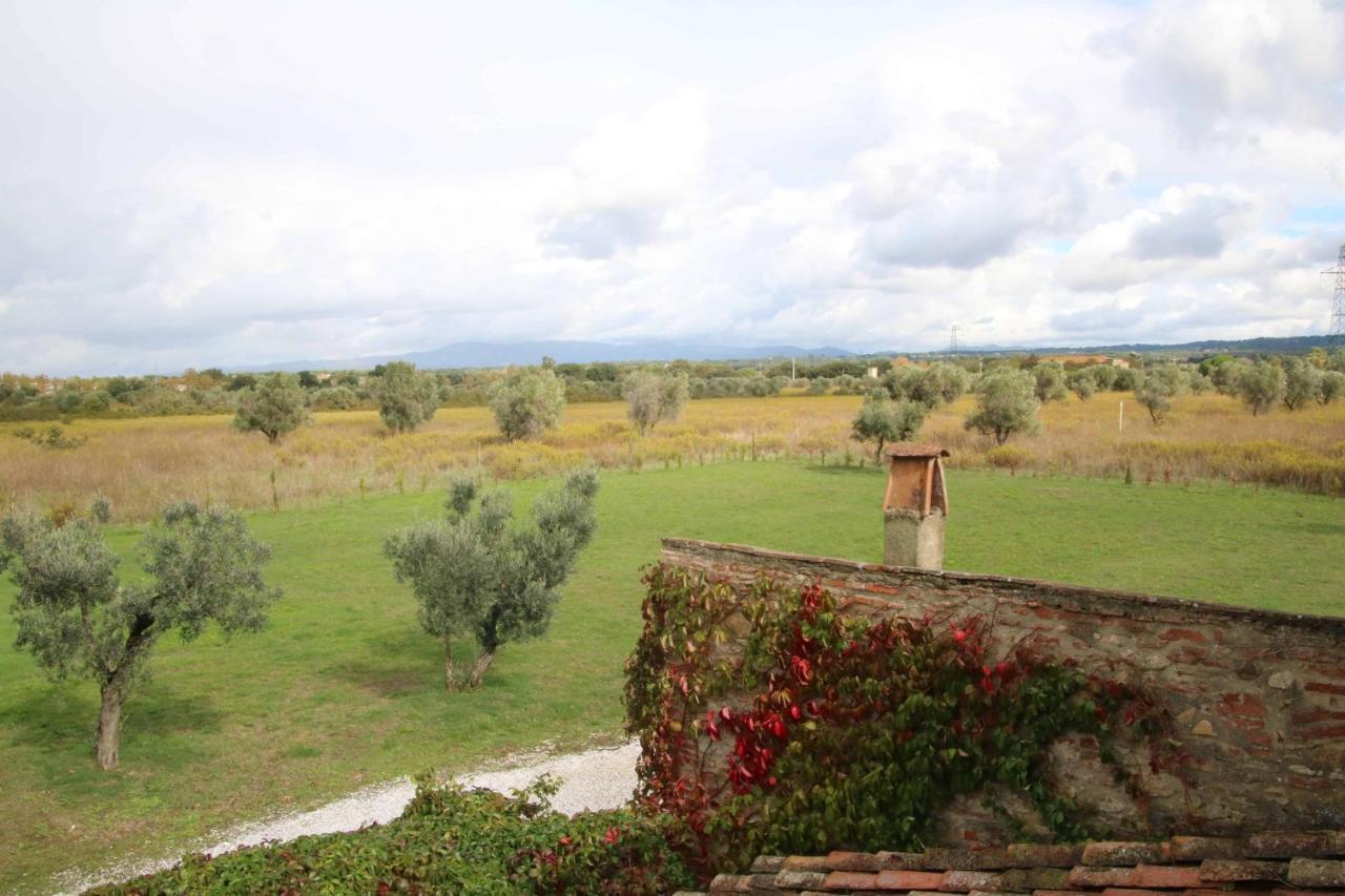 Podere Campo alle Serpi Bibbona Esterno foto