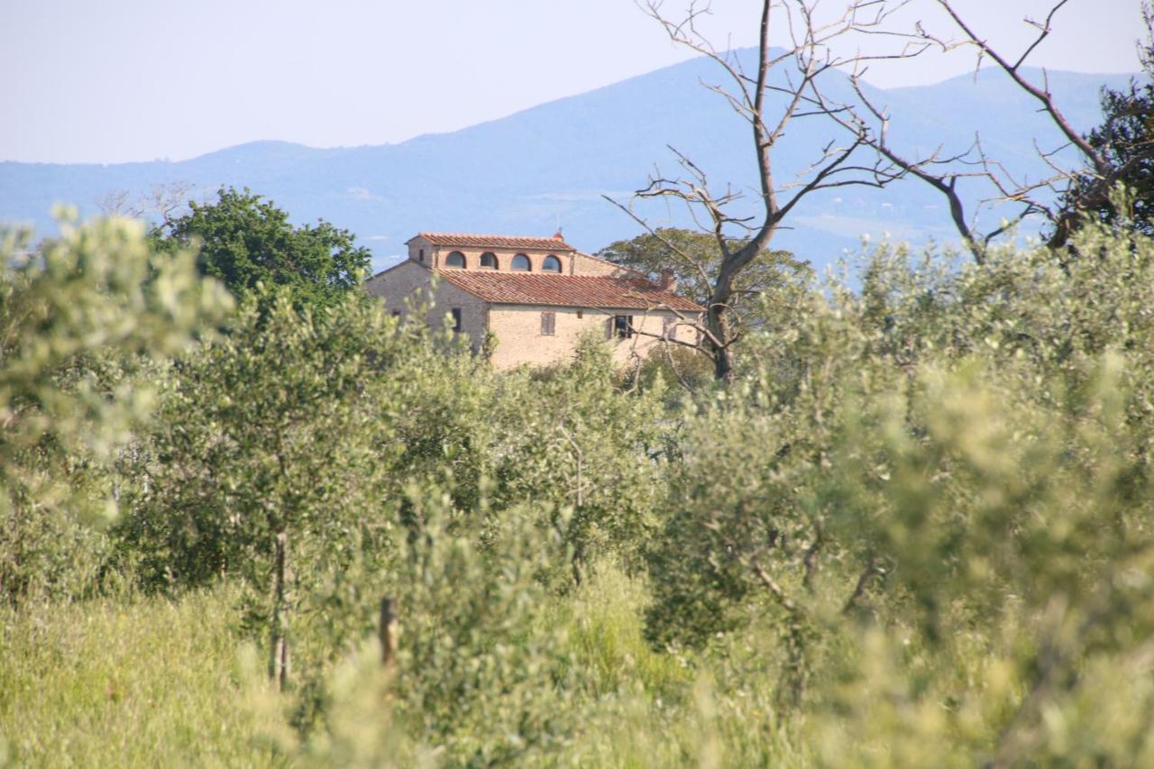 Podere Campo alle Serpi Bibbona Esterno foto