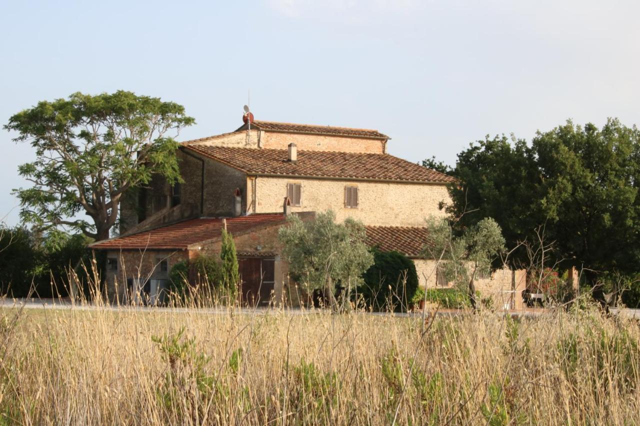 Podere Campo alle Serpi Bibbona Esterno foto