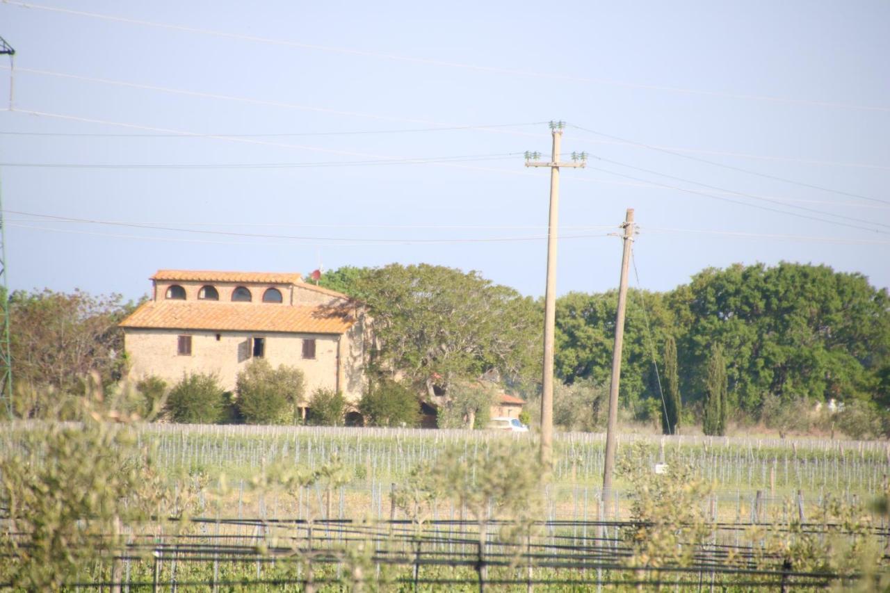Podere Campo alle Serpi Bibbona Esterno foto