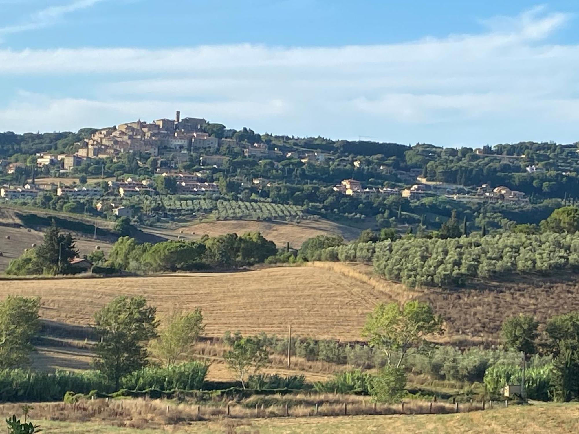 Podere Campo alle Serpi Bibbona Esterno foto