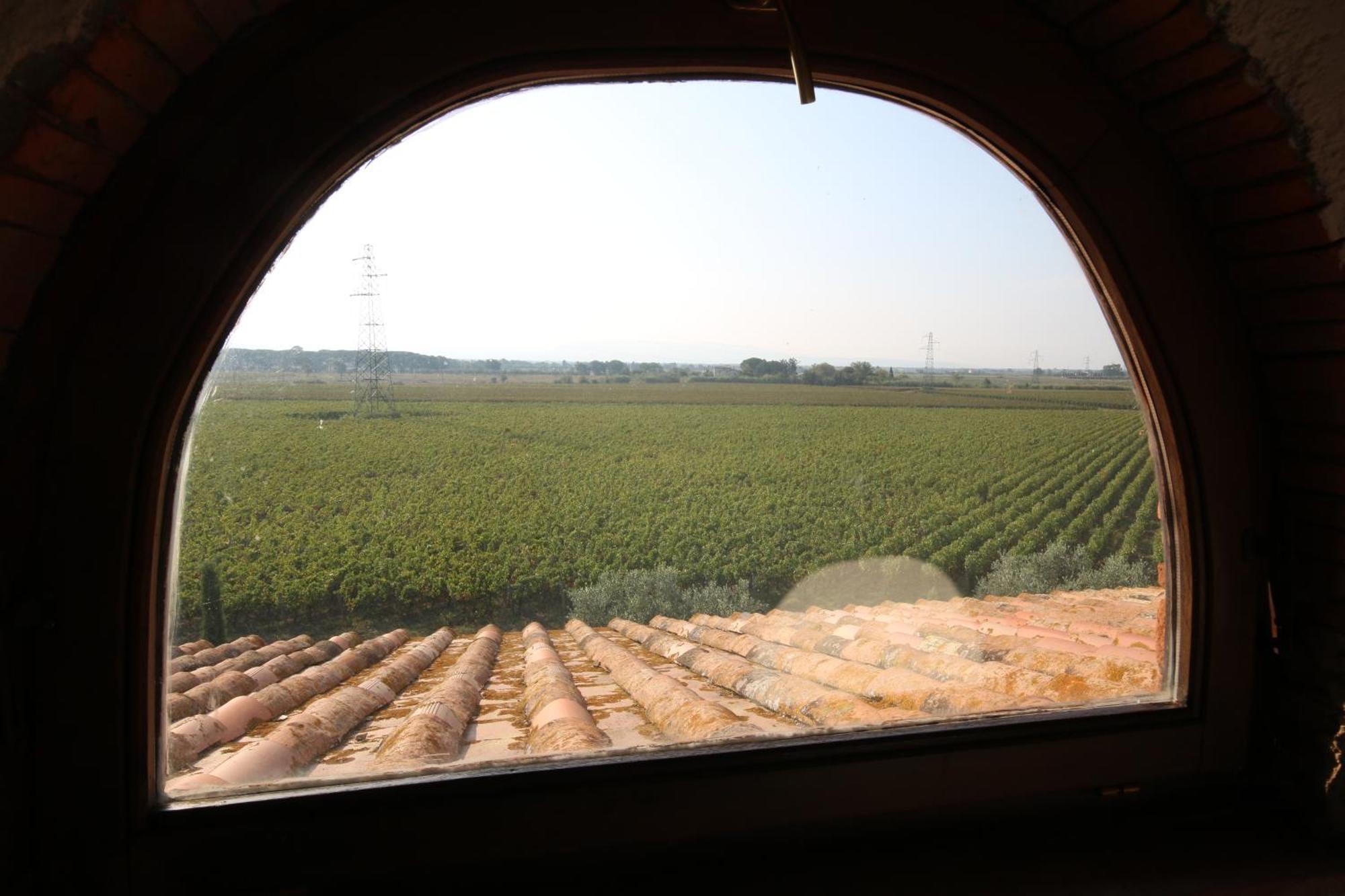 Podere Campo alle Serpi Bibbona Esterno foto