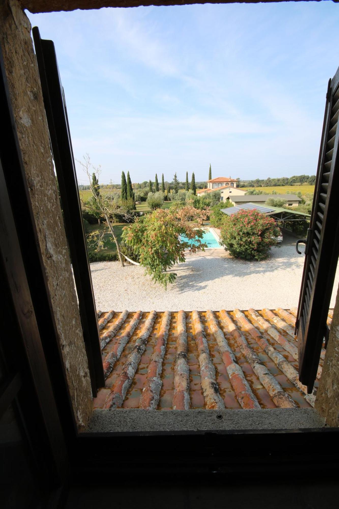 Podere Campo alle Serpi Bibbona Esterno foto