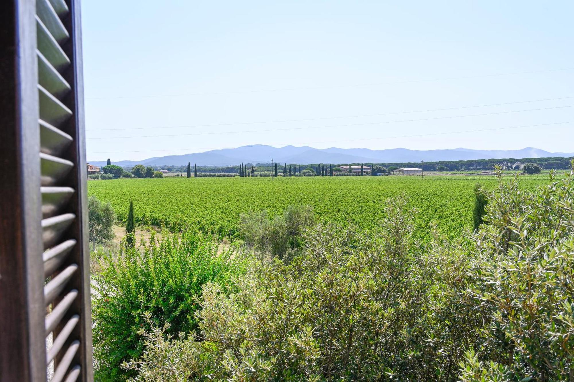 Podere Campo alle Serpi Bibbona Camera foto