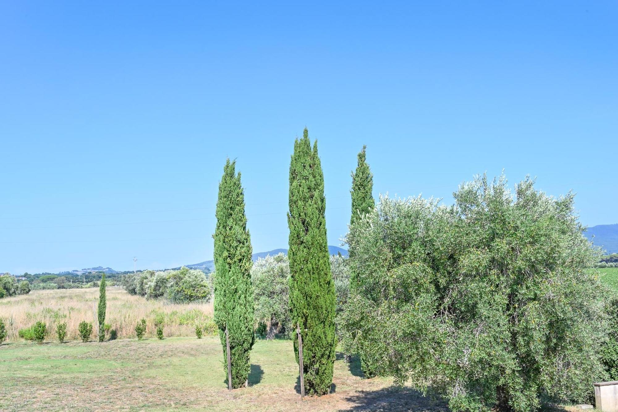 Podere Campo alle Serpi Bibbona Camera foto