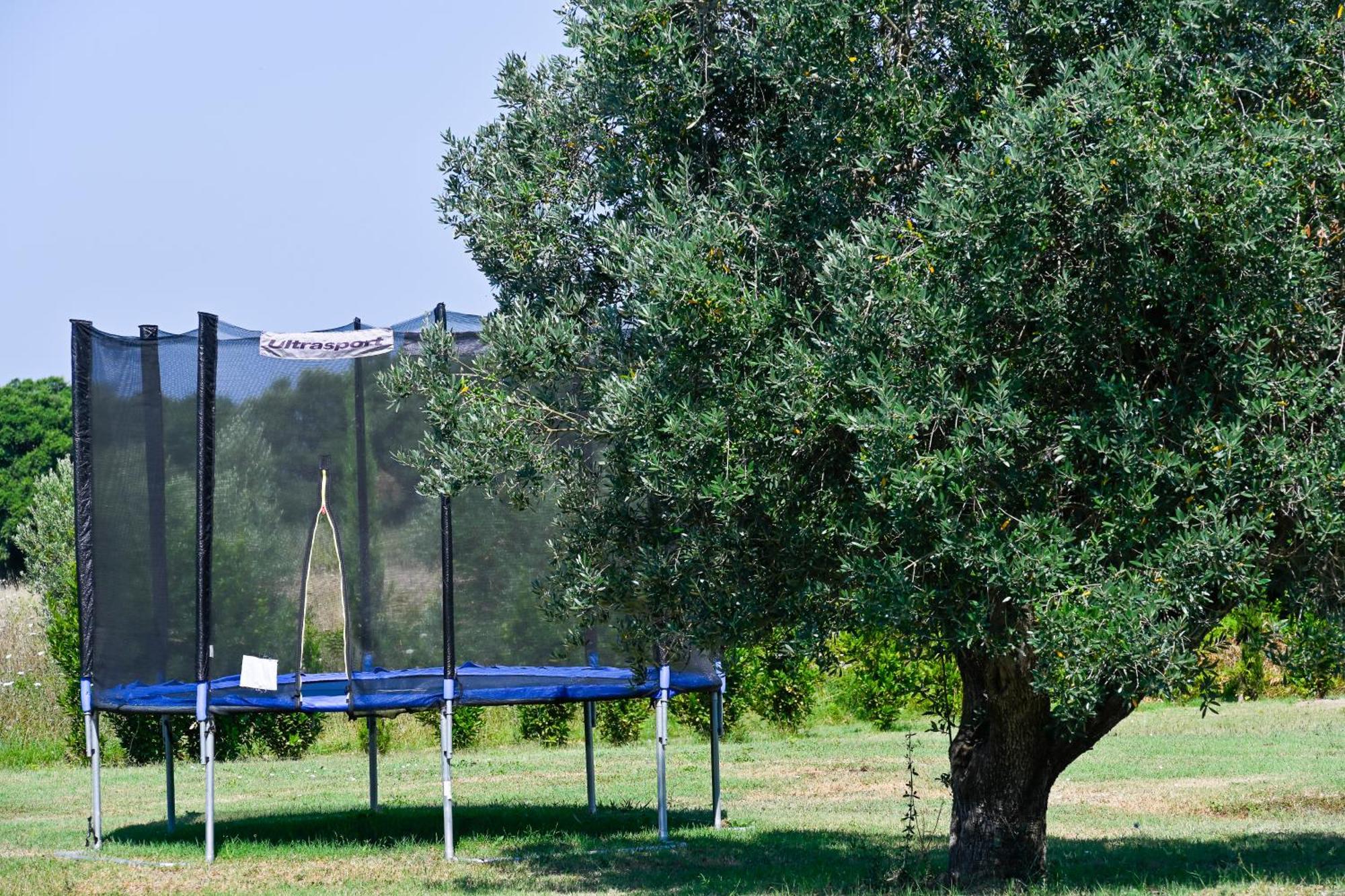 Podere Campo alle Serpi Bibbona Esterno foto